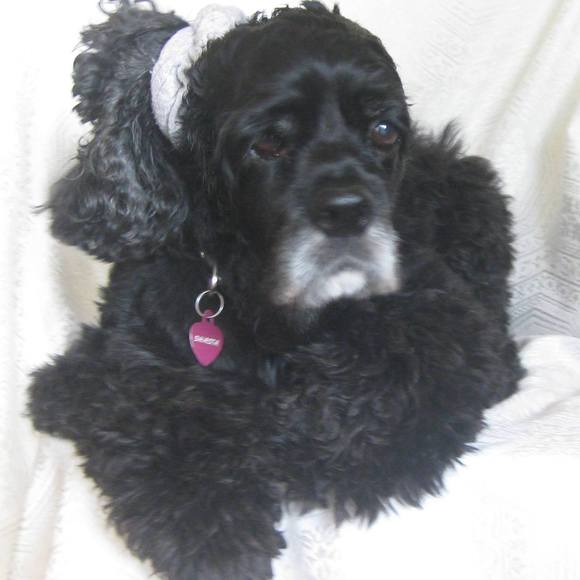 Meet your Posher, Tammy - Picture 1 of 1